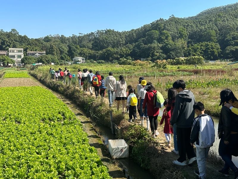 亲子家庭共同到田野低头体验农作物种植。(3397827)-20231120104129.jpg