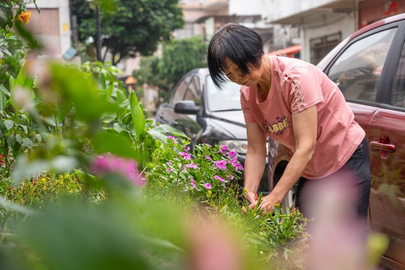 沙栏村民在自建房周围种植花草蔬菜 美化居(3781590)-20240529163603.jpg