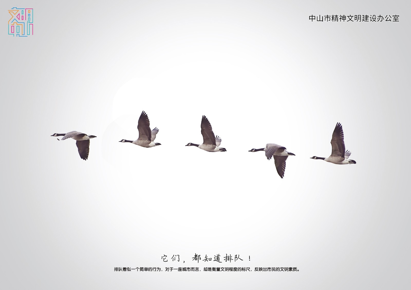 自然界的排队  (1).jpg