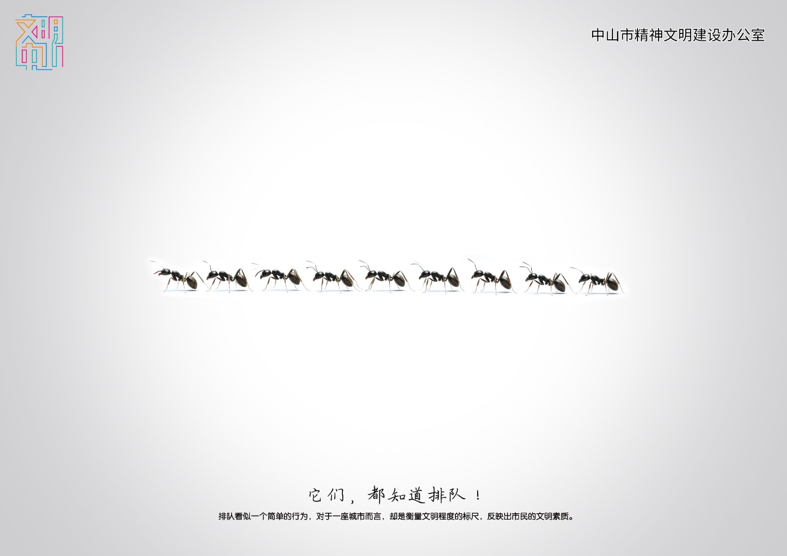 自然界的排队  (2).jpg