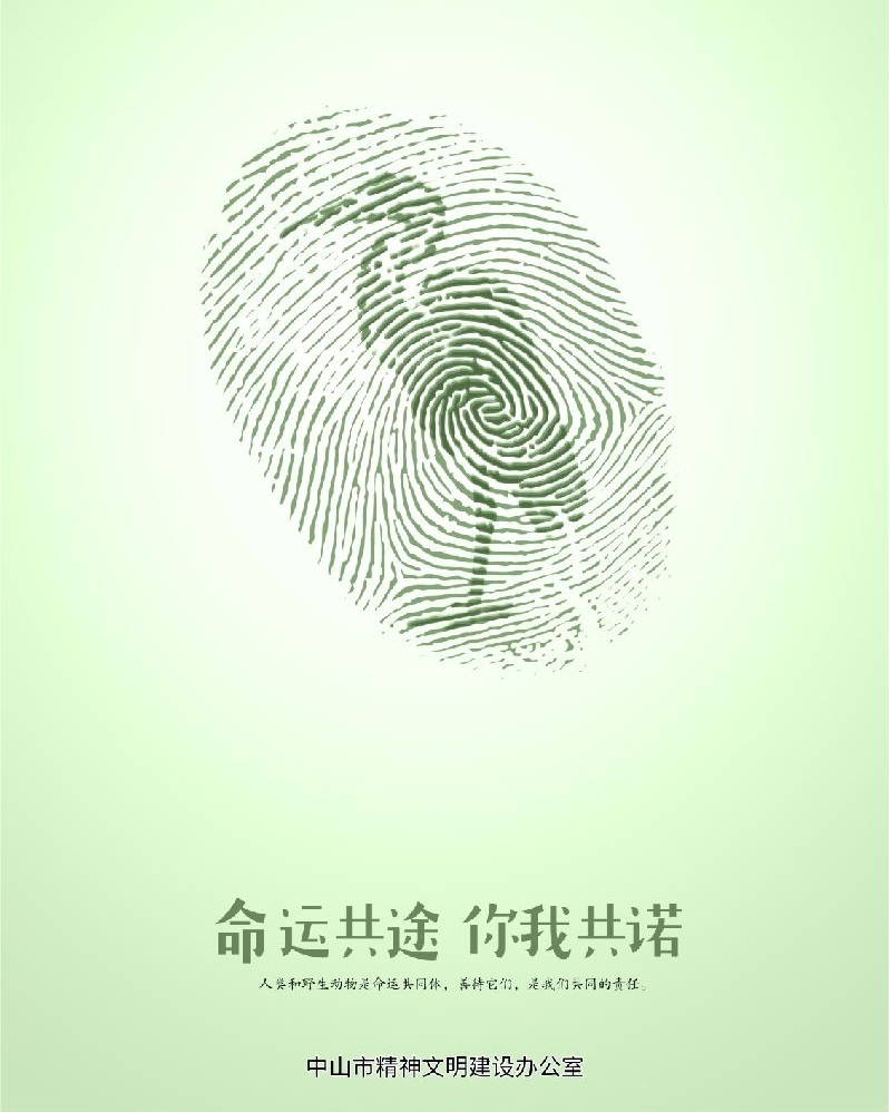 生态文明-保护野生动物-《命运共途 你我共诺（系列）》