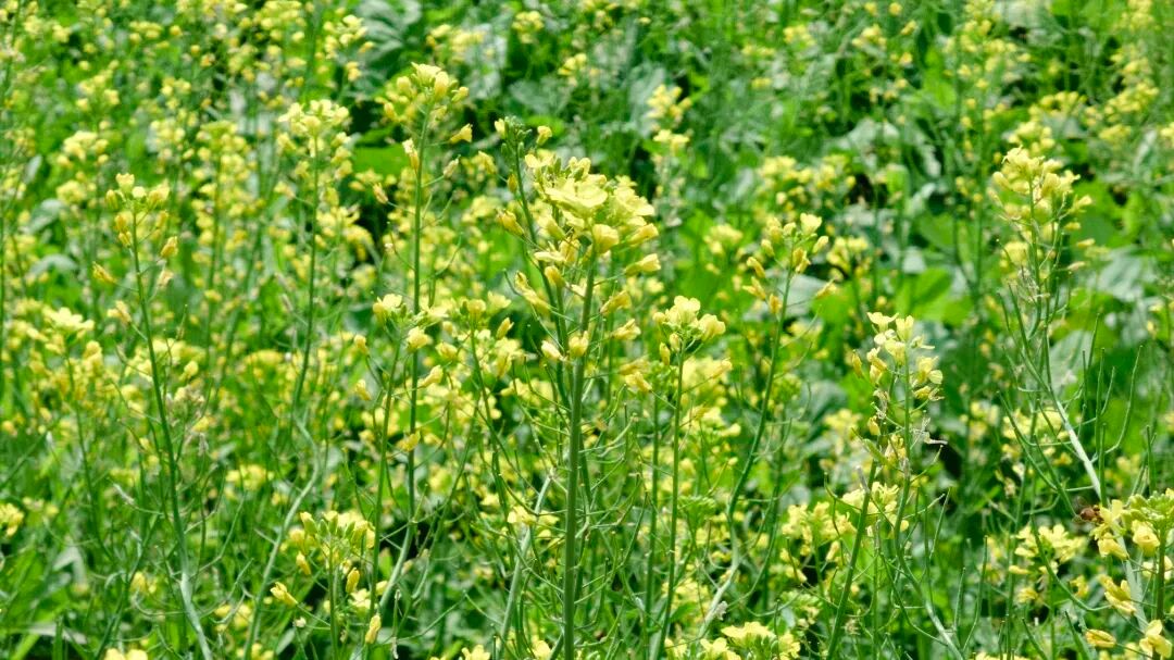 640 - 2026-03-16T181101.280.jpg