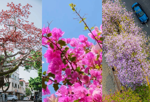 “花时间”去逛逛春天！攻略一键收藏→