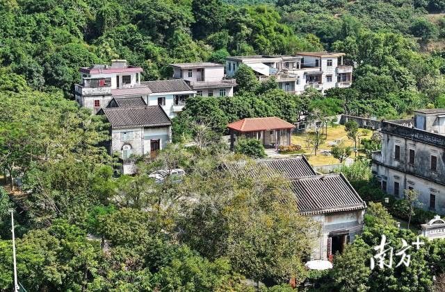 99e204cfe30d4bfa83c975aacb3e8c26_batchwm (1).jpg