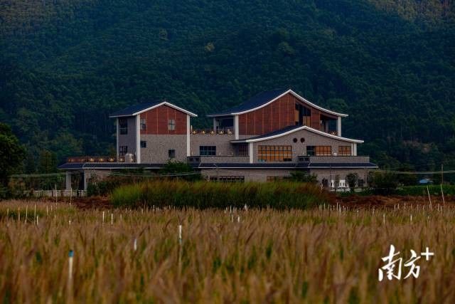 6e46316ef71e43c1b4ec74c3d4ea07d2_batchwm (1).jpg