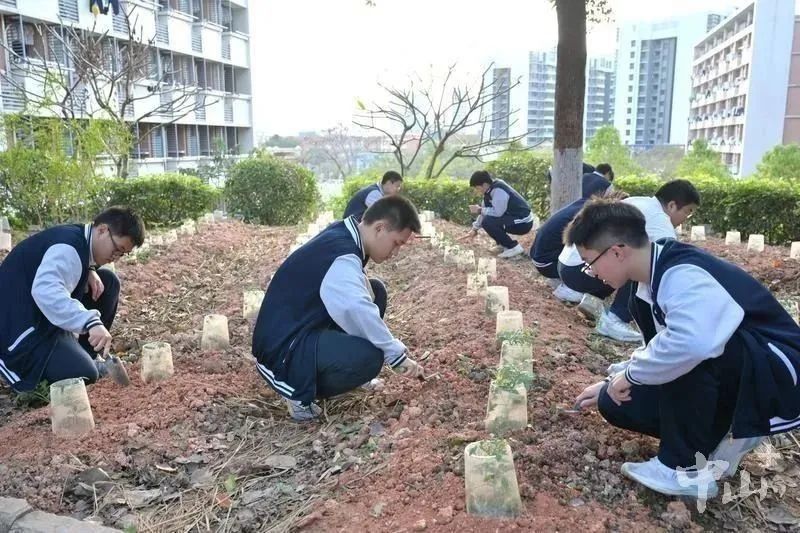 微信图片_20250430104420.jpg