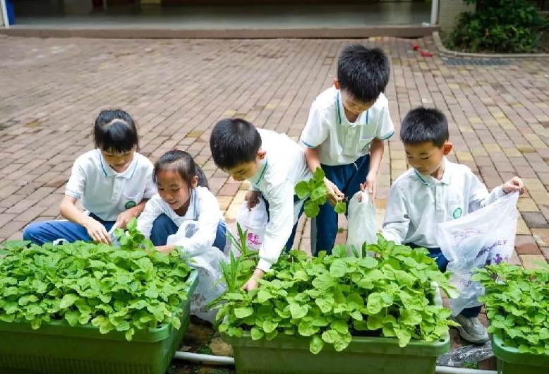 在学校种菜？快来看看！→