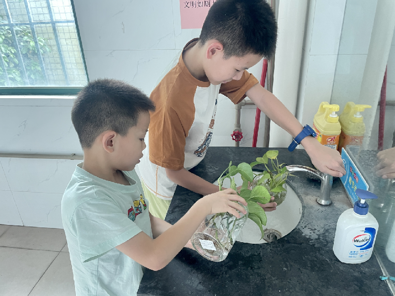 微信图片_2025-08-04_115121_812.png