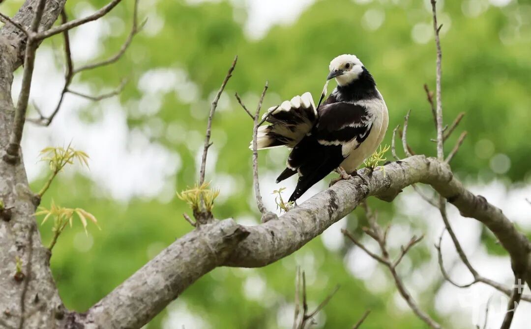 640 - 2026-04-03T100151.936.jpg