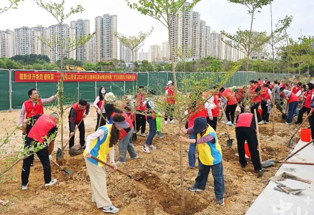 640 - 2026-04-03T101039.113.jpg