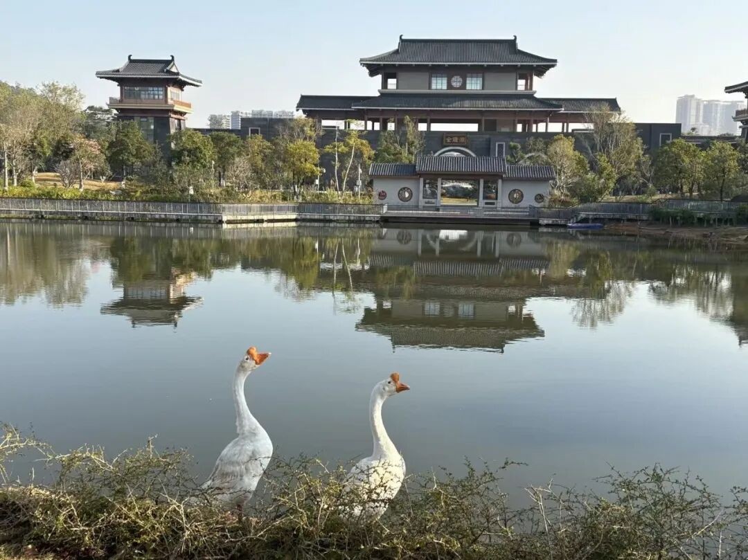 640 - 2026-04-13T173233.622.jpg