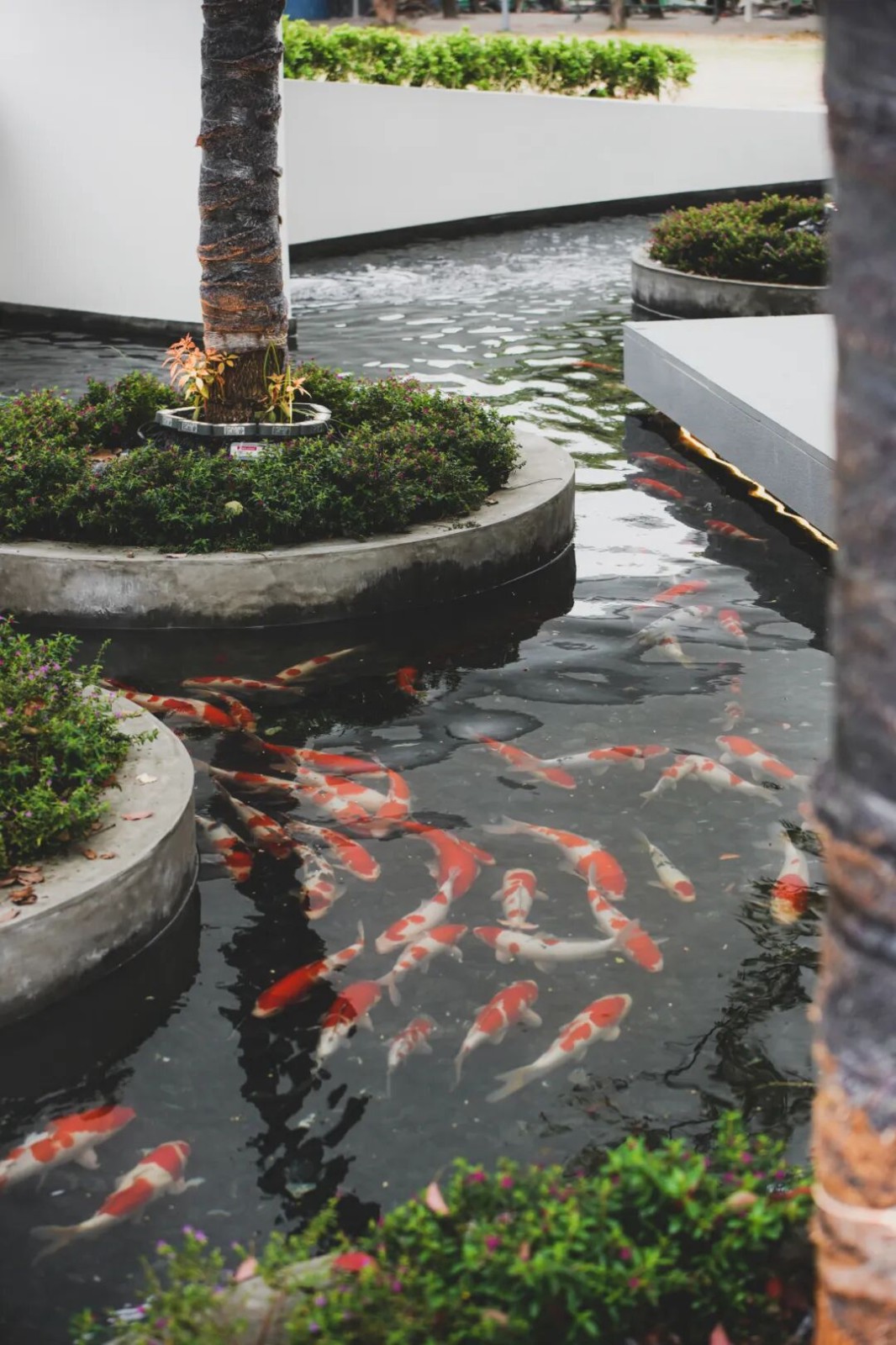 640 - 2026-04-13T173229.204.jpg