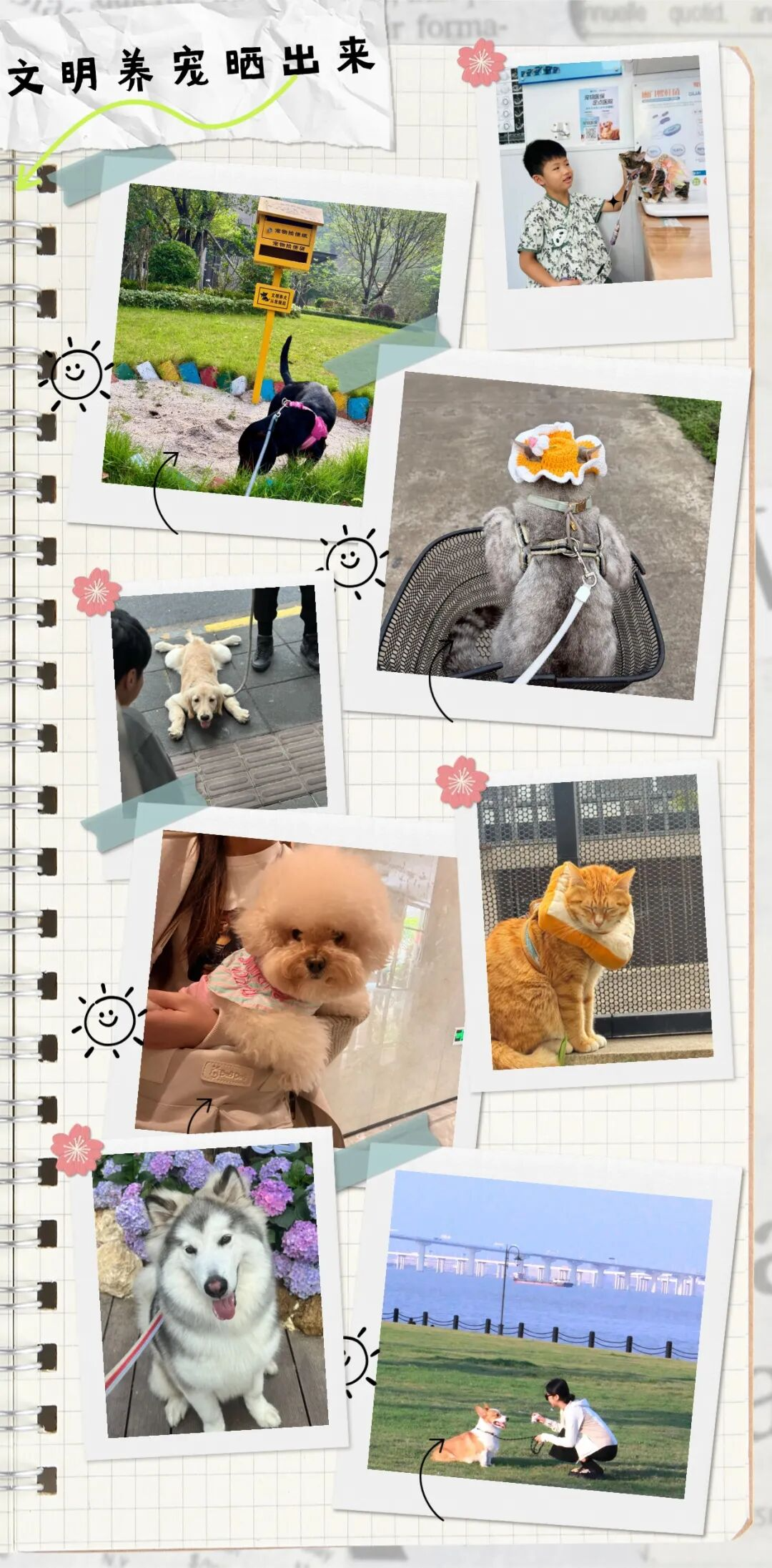 wechat_pic_4.png