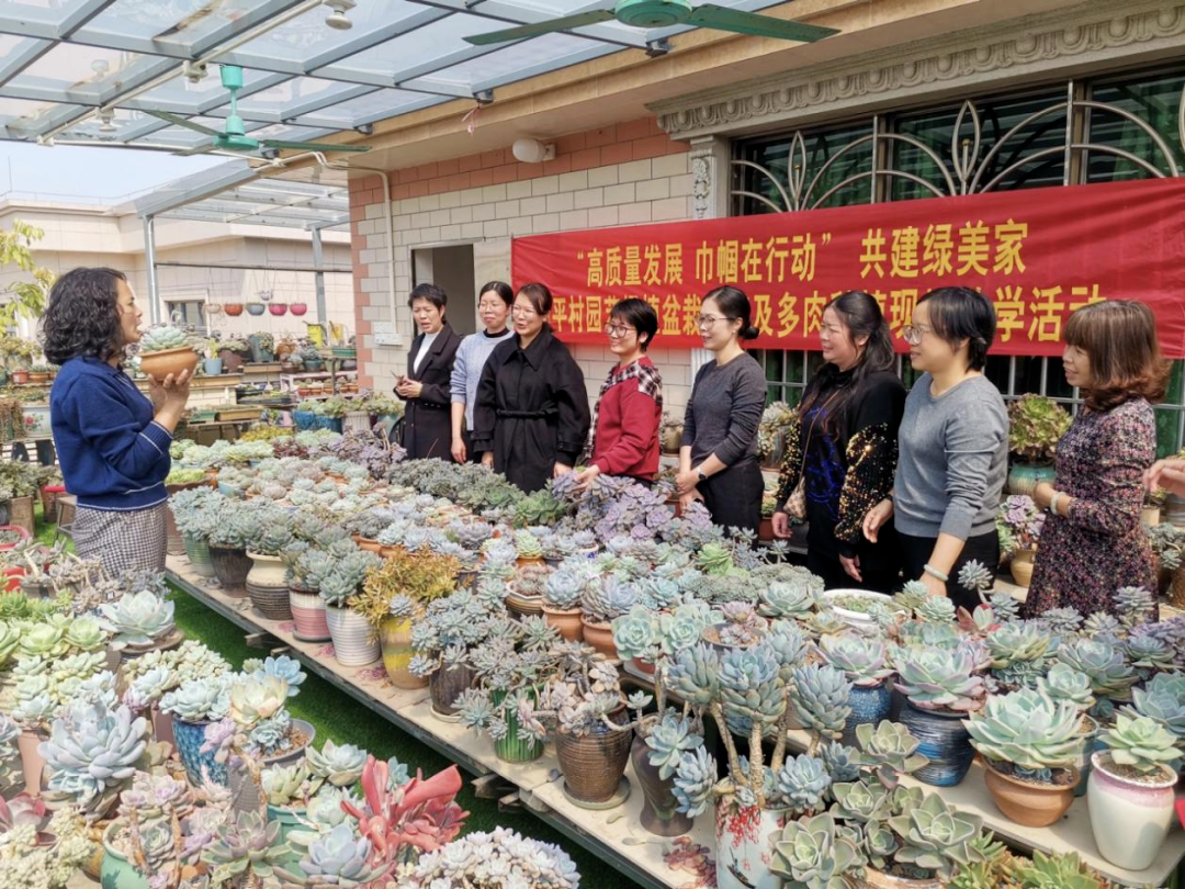 wechat_pic_10.png
