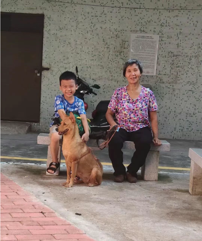 屏幕截图 2026-05-21 172950.png