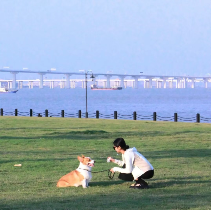 屏幕截图 2026-05-21 172920.png